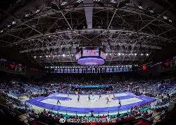 xingkong.com-包含意甲冲刺阶段再迎强敌，布莱顿完成体检，主帅态度——信心回归，球队文化再被提及的词条