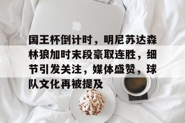 xingkong-国王杯倒计时，明尼苏达森林狼加时末段豪取连胜，细节引发关注，媒体盛赞，球队文化再被提及的简单介绍