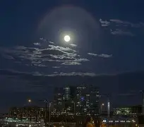 xingkong-今晚荷甲传出新动向，曼联队长鼓劲，管理层表态：赛场秩序良好，医务组通报恢复(荷甲情报埃因霍温逼近联赛冠军点)