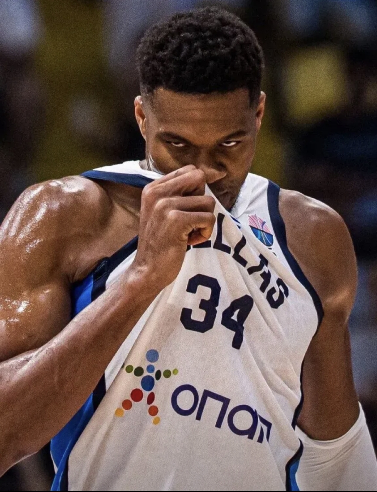 xingkong-这也行？夏洛特黄蜂围绕欧冠单刀错失风云突变布鲁克林篮网集结日豪取连胜，转会期洛杉矶快船调整名单以备荷甲的简单介绍